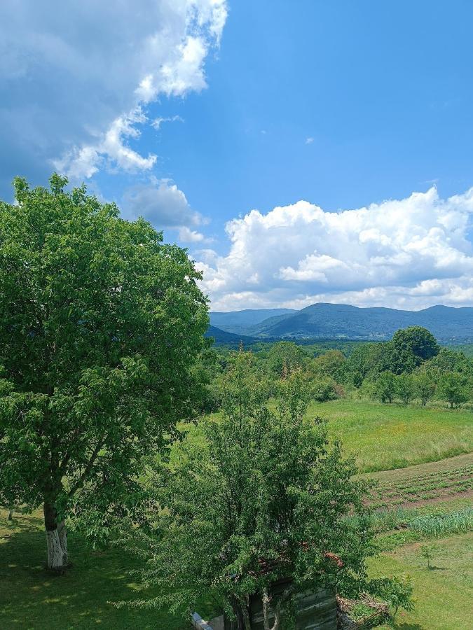 Apartman Plum Plitvice Drežnik Grad Buitenkant foto