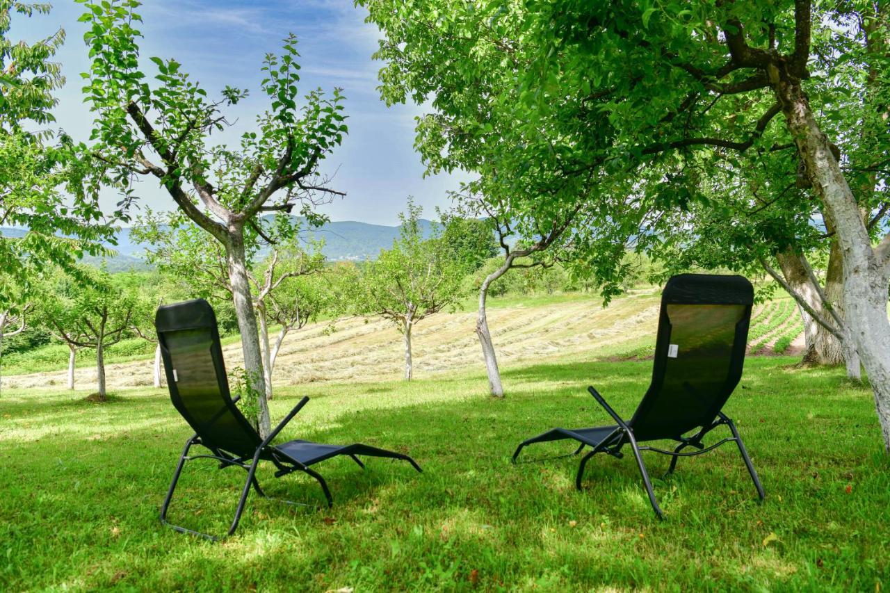 Apartman Plum Plitvice Drežnik Grad Buitenkant foto